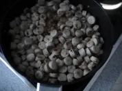 Curry-Wurst-Pfanne "Light" - Rezept