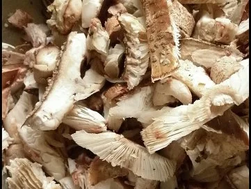 Rezept: Möhren-Puffer mit Perlpilzen Bild Nr. 9 Möhren-Puffer mit Perlpilzen - Rezept - Bild Nr. 9