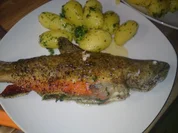 Forelle gebacken - Rezept