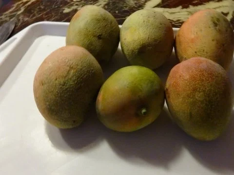 Marmeladen : vom allerfeinsten - Rezept - Bild Nr. 7