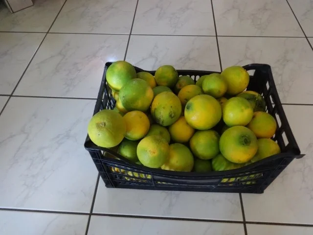 Marmeladen : vom allerfeinsten - Rezept - Bild Nr. 10