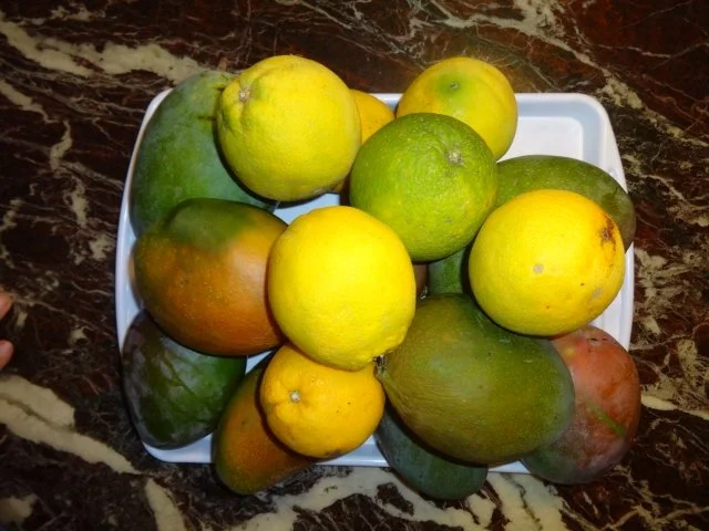 Marmeladen : vom allerfeinsten - Rezept - Bild Nr. 11