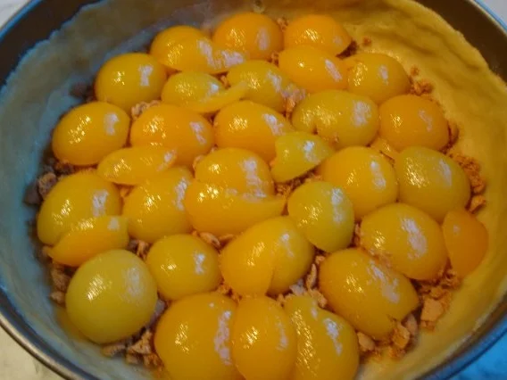 Käsekuchen mit Aprikosen,Rum und Amarettini - Rezept - Bild Nr. 3