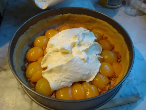 Käsekuchen mit Aprikosen,Rum und Amarettini - Rezept - Bild Nr. 4