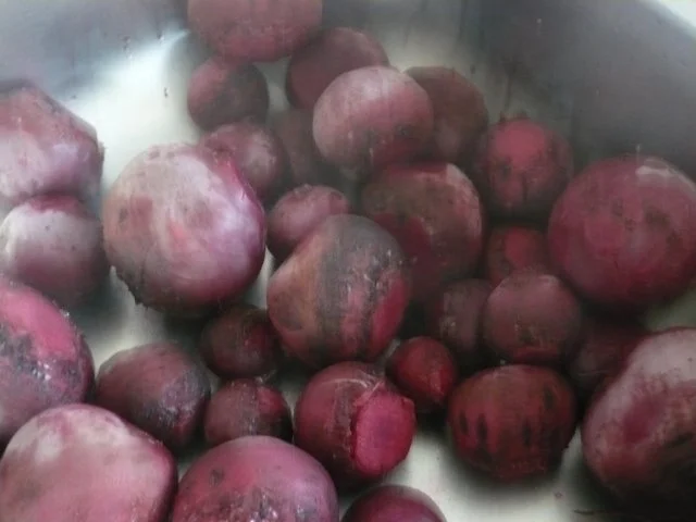 Rote Bete  mit Ingwer - Rezept - Bild Nr. 3