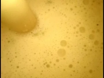 Brokkoli-Gnocchi-Auflauf - Rezept - Bild Nr. 6