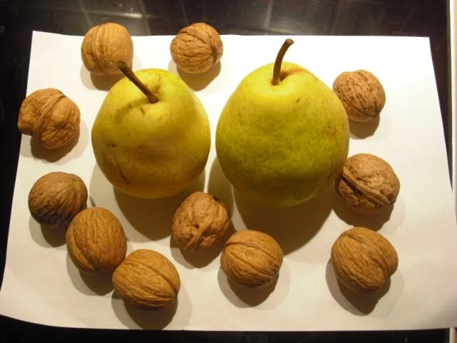 Rezept: Knusperstreusel-Birnenkuchen Bild Nr. 11 Knusperstreusel-Birnenkuchen - Rezept - Bild Nr. 11