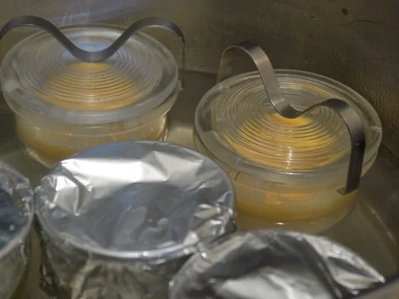 Rezept: Eierstich Bild Nr. 8 Eierstich - Rezept - Bild Nr. 8