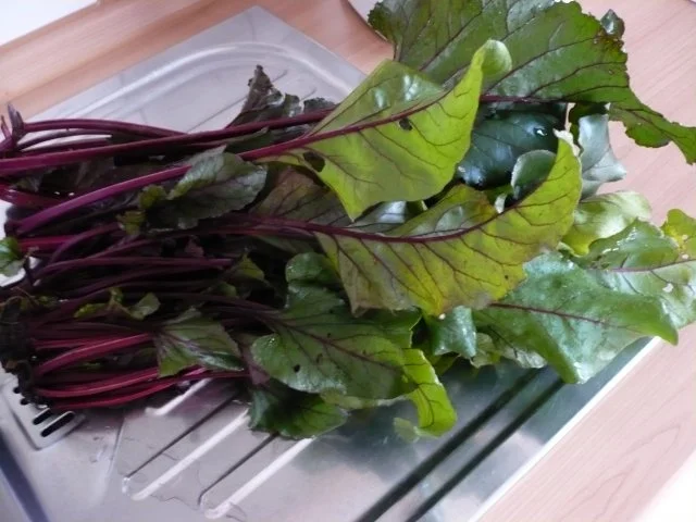 Rezept: Rote Bete - Blätter Salat Bild Nr. 4 Rote Bete - Blätter Salat - Rezept - Bild Nr. 4