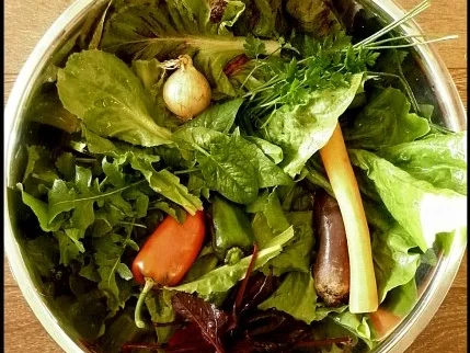 Hokkaido mit kernigem Kartoffelpüree - Rezept - Bild Nr. 10