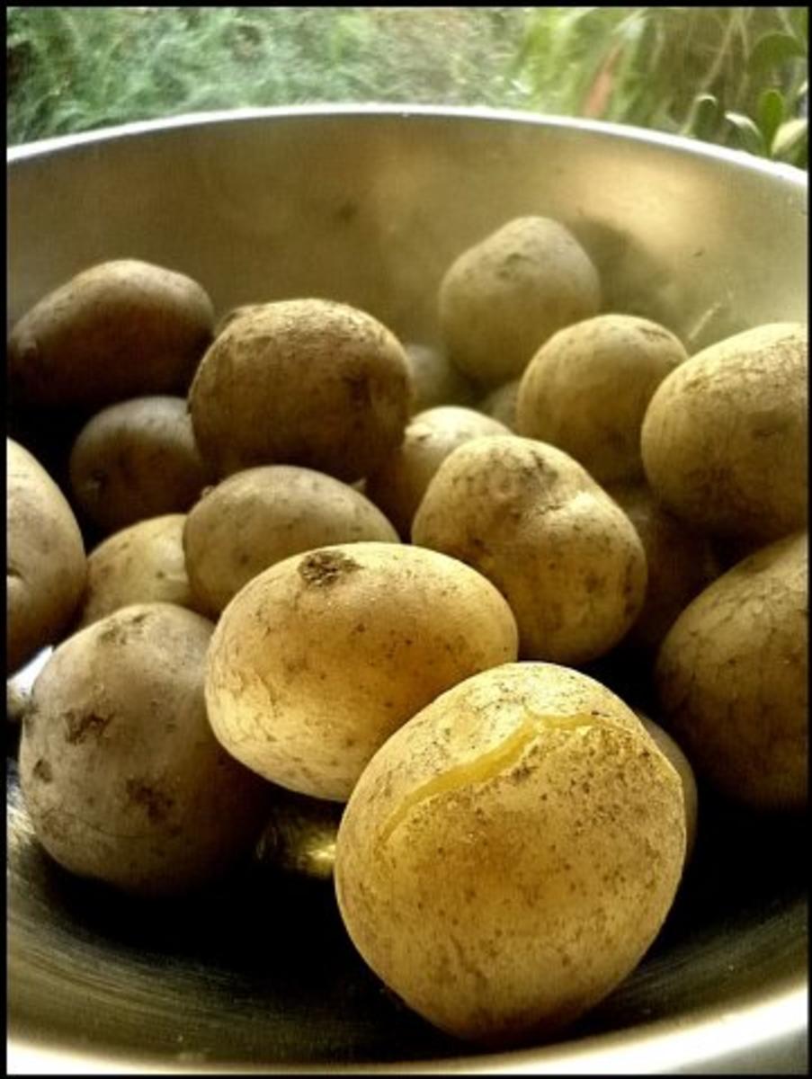 Hokkaido mit kernigem Kartoffelpüree - Rezept - Bild Nr. 6