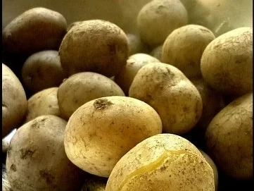 Hokkaido mit kernigem Kartoffelpüree - Rezept - Bild Nr. 6