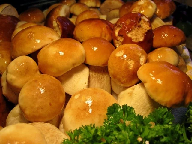 Gewürze Steinpilze zum Würzen - Rezept - Bild Nr. 2