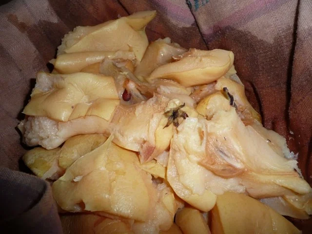 Rezept: Quittengelee Nr.2 Bild Nr. 2 Quittengelee Nr.2 - Rezept - Bild Nr. 2