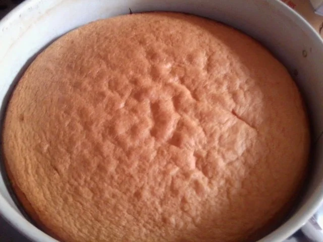 Rezept: leichte/r Apfeltorte / Apfelkuchen Bild Nr. 3 leichte/r Apfeltorte / Apfelkuchen - Rezept - Bild Nr. 3