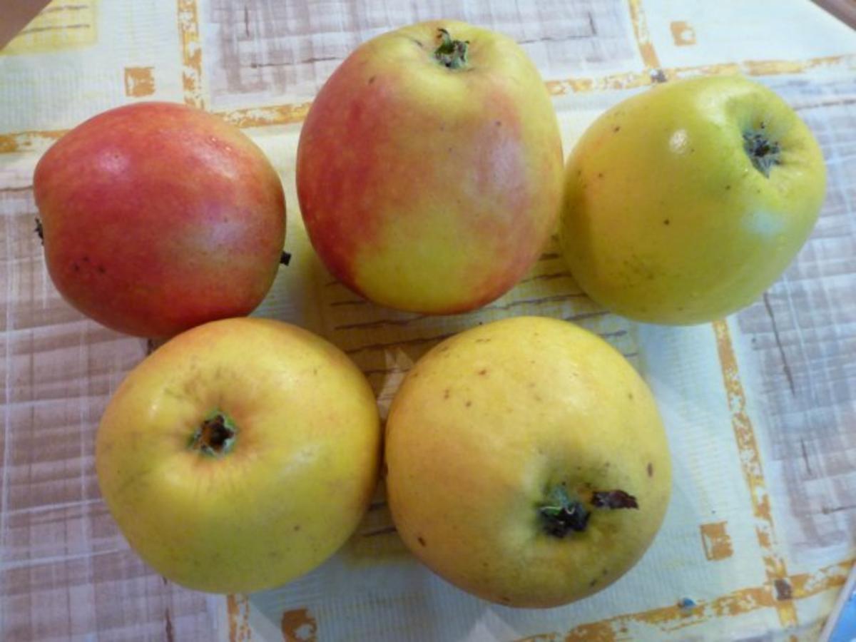 Quark-Apfel-Kuchen - Rezept - Bild Nr. 2