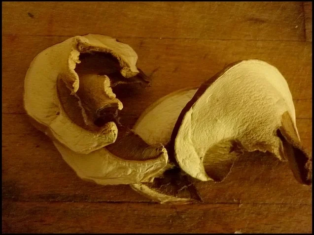 Kürbisflammkuchen - Rezept - Bild Nr. 5