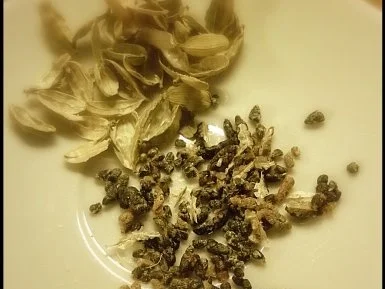 Rezept: Weihnachtsbäckerei: Stollen Bild Nr. 7 Weihnachtsbäckerei: Stollen - Rezept - Bild Nr. 7