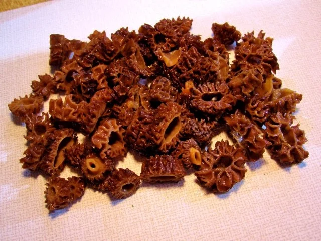 Rezept: Hähnchen-Unterschenkelchen in Morchel-Rahmsoße Bild Nr. 4 Hähnchen-Unterschenkelchen in Morchel-Rahmsoße - Rezept - Bild Nr. 4