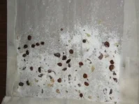 Rezept: Kokos Baklava Kokos Baklava - Rezept