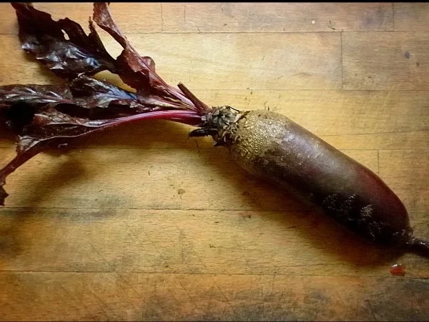 Rezept: Rote-Bete-Blini mit Balsamico-Zwiebeln und Ziegencreme Bild Nr. 5 Rote-Bete-Blini mit Balsamico-Zwiebeln und Ziegencreme - Rezept - Bild Nr. 5