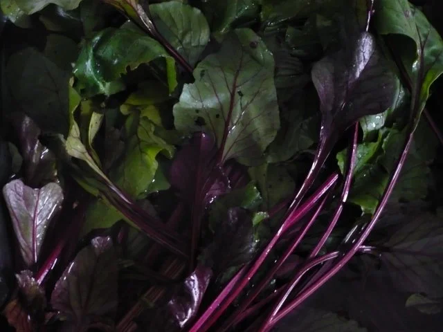 Rezept: Rote - Bete - Blätter - Gemüse Bild Nr. 3 Rote - Bete - Blätter - Gemüse - Rezept - Bild Nr. 3