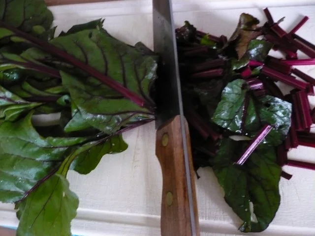 Rezept: Rote - Bete - Blätter - Gemüse Bild Nr. 4 Rote - Bete - Blätter - Gemüse - Rezept - Bild Nr. 4