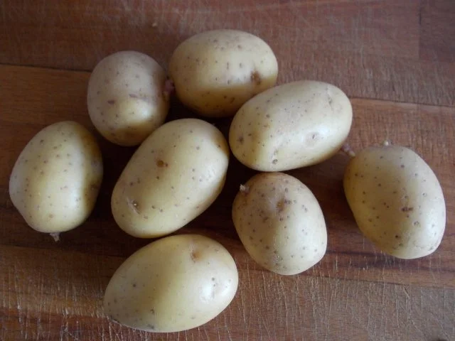 Fleischküchle mit Kartoffelbrei - Rezept - Bild Nr. 6