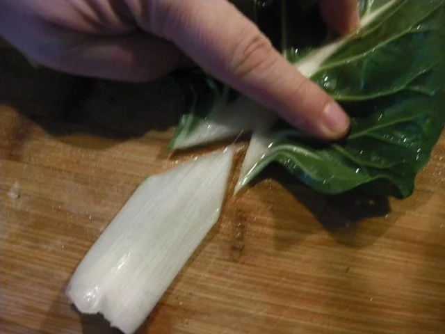 Mangold-Rouladen auf einem Spiegel aus Mangoldpürree (Sølvbederoulader) - Rezept - Bild Nr. 5