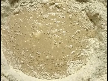 Stollen-Kuchen von Blech - Rezept - Bild Nr. 5