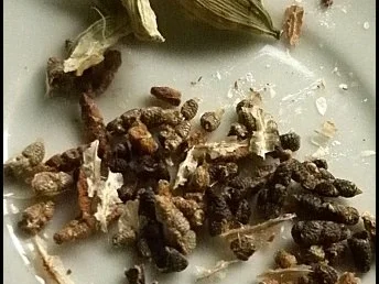 Stollen-Kuchen von Blech - Rezept - Bild Nr. 8