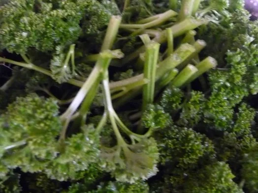 Meine Basensuppe - Einmal über den Markt - Rezept - Bild Nr. 6