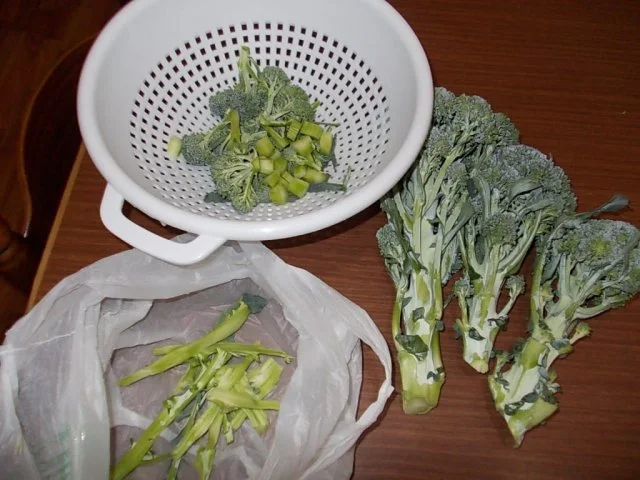 Rezept: Pasta Broccoli Bild Nr. 2 Pasta Broccoli - Rezept - Bild Nr. 2