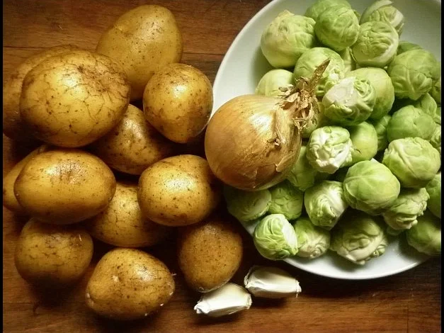 Rosenkohl-Kartoffel-Gratin - Rezept - Bild Nr. 2