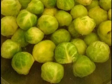 Rosenkohl-Kartoffel-Gratin - Rezept - Bild Nr. 3