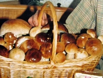 Steinpilze gebraten - Rezept - Bild Nr. 4