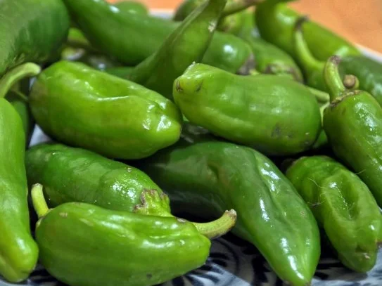 Hähnchengulasch "de la Vera" mit Vollkorn-Basmati-Reis und Pimentos de Padron - Rezept - Bild Nr. 12