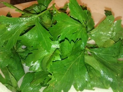 Liebstöckelpaste - Rezept - Bild Nr. 3