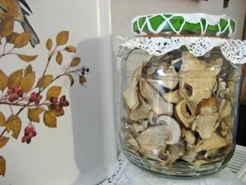 Pilze haltbar machen - erst einmal: Trocknen - Rezept