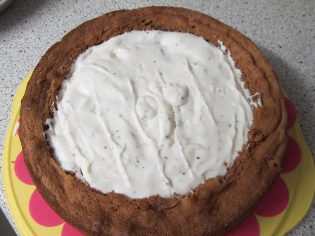 Eckis Geburtstagstorte "pfui Spinne" - Rezept - Bild Nr. 5