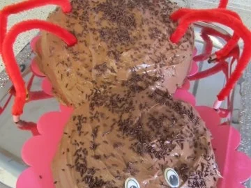 Eckis Geburtstagstorte "pfui Spinne" - Rezept