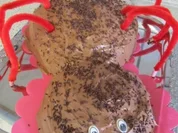 Eckis Geburtstagstorte "pfui Spinne" - Rezept