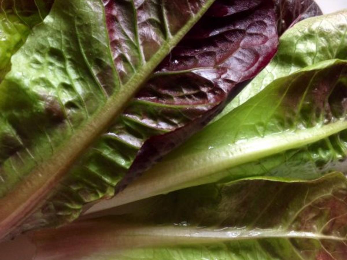 Bunter Eiersalat - Rezept mit Bild - kochbar.de