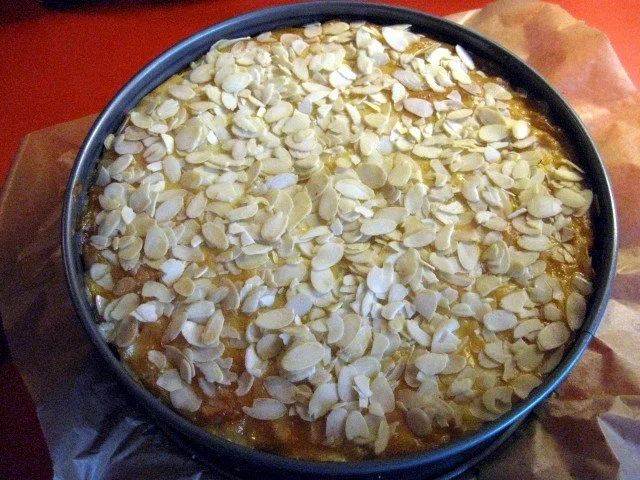 Rezept: Gefüllter Pudding - Apfelkuchen Bild Nr. 12 Gefüllter Pudding - Apfelkuchen - Rezept - Bild Nr. 12