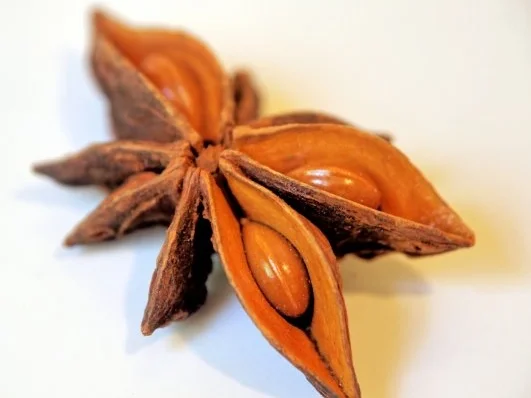 Tonka-Creme auf Gewürzkirschen - Rezept - Bild Nr. 2