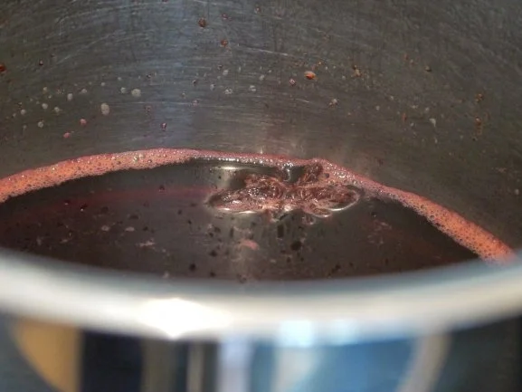 Tonka-Creme auf Gewürzkirschen - Rezept - Bild Nr. 5