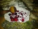 kandierte, gefrostete  Cranberries - Rezept