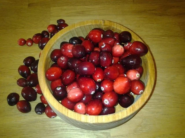 Rezept: kandierte, gefrostete Cranberries Bild Nr. 2 kandierte, gefrostete Cranberries - Rezept - Bild Nr. 2