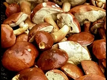 Haselnuss-Mandel-Knöpfle mit Pilzen - Rezept - Bild Nr. 2