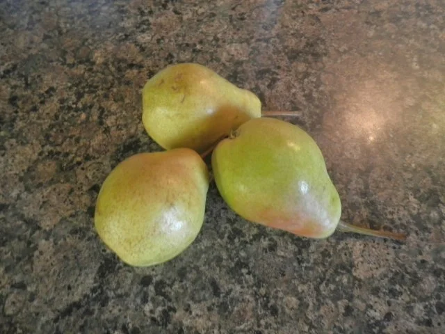 Rezept: Kleiner Birnen - Kuchen Bild Nr. 3 Kleiner Birnen - Kuchen - Rezept - Bild Nr. 3